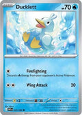 Ducklett 025  SV White Flare - Common