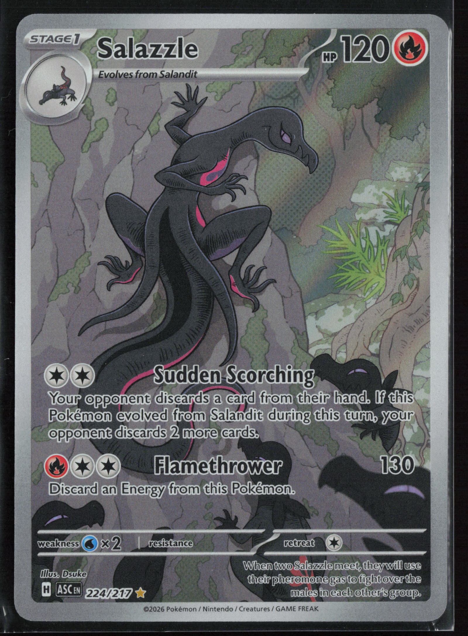 Salazzle 224/217 Illustration Rare - Ascended Heroes - Near Mint
